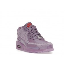 Женские Nike Air Max 90 Paris Macaroon (W)