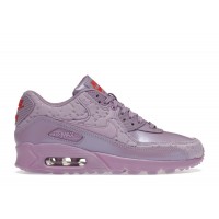 Женские Nike Air Max 90 Paris Macaroon (W)