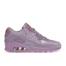 Женские Nike Air Max 90 Paris Macaroon (W)