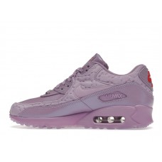 Женские Nike Air Max 90 Paris Macaroon (W)