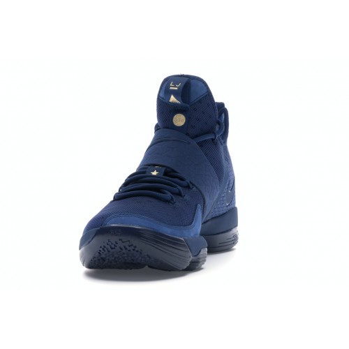 Кроссы Nike LeBron 14 Agimat - мужская сетка размеров