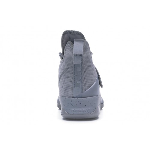 Кроссы Nike LeBron 14 Silver - мужская сетка размеров
