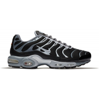 Кроссовки Nike Air Max Plus Cool Grey Wolf Grey