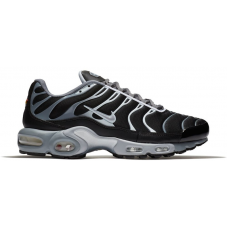 Кроссовки Nike Air Max Plus Cool Grey Wolf Grey