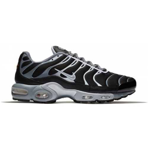 Кроссы Nike Air Max Plus Cool Grey Wolf Grey - мужская сетка размеров