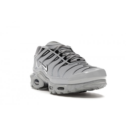 Кроссы Nike Air Max Plus Wolf Grey - мужская сетка размеров