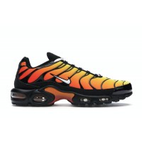 Кроссовки Nike Air Max Plus Tiger