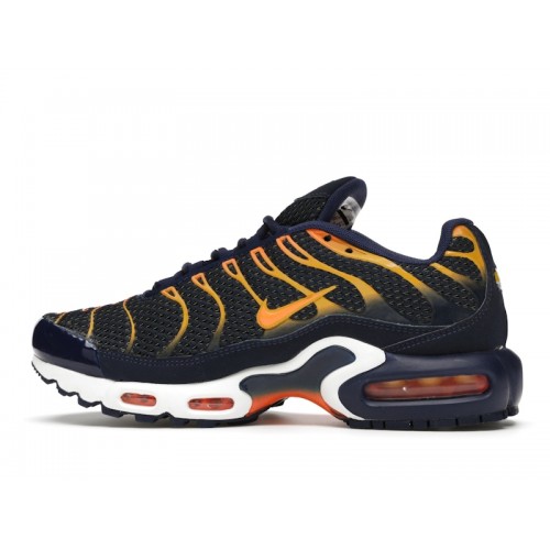 Кроссы Nike Air Max Plus Blue Void University Gold - мужская сетка размеров