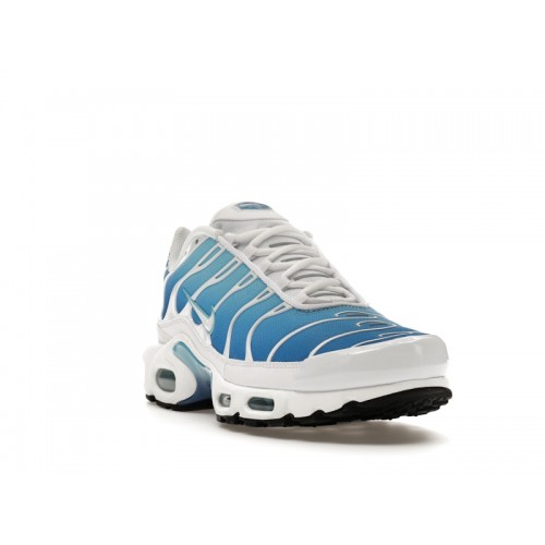 Кроссы Nike Air Max Plus Sky Blue - мужская сетка размеров