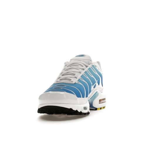 Кроссы Nike Air Max Plus Sky Blue - мужская сетка размеров