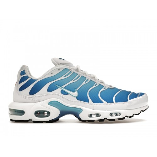 Кроссы Nike Air Max Plus Sky Blue - мужская сетка размеров