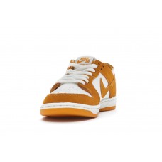Кроссовки Nike SB Dunk Low Circuit Orange
