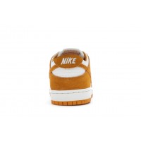 Кроссовки Nike SB Dunk Low Circuit Orange
