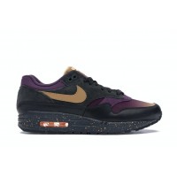 Кроссовки Nike Air Max 1 Pro Purple Fade