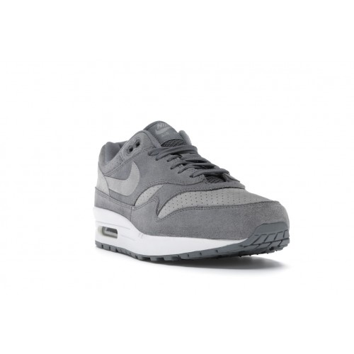 Кроссы Nike Air Max 1 Cool Grey Wolf Grey - мужская сетка размеров