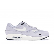 Кроссовки Nike Air Max 1 Mini Swoosh Pure Platinum