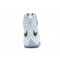 Кроссовки Nike LeBron Zoom Soldier 10 Gold Medal