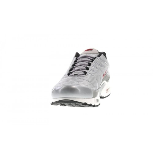 Кроссы Nike Air Max Plus Silver Bullet - мужская сетка размеров