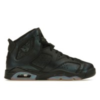 Подростковые кроссовки Jordan 6 Retro All-Star Chameleon (2017) (GS)