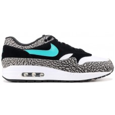 Nike Air Max 1 atmos x Jordan