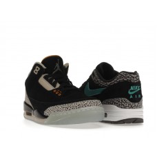 Jordan 3 Retro & Nike Air Max 1 atmos Pack