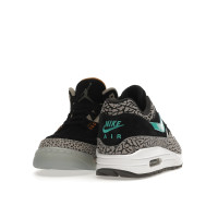 Jordan 3 Retro & Nike Air Max 1 atmos Pack
