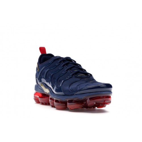 Кроссы Nike Air VaporMax Plus Olympic - мужская сетка размеров