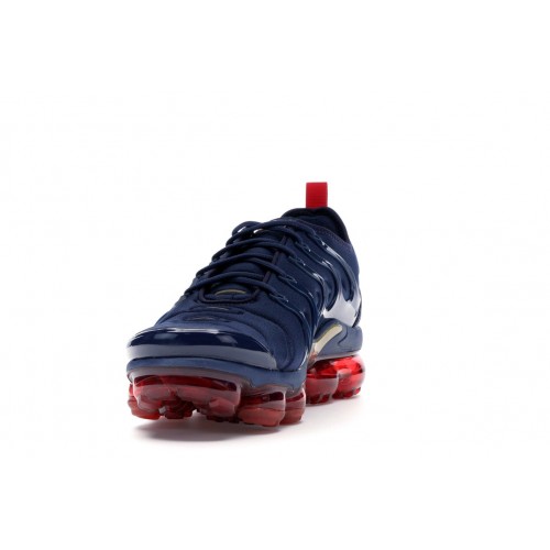 Кроссы Nike Air VaporMax Plus Olympic - мужская сетка размеров