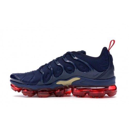 Кроссы Nike Air VaporMax Plus Olympic - мужская сетка размеров