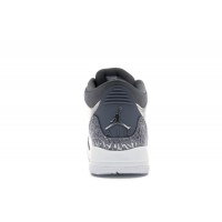 Подростковые Jordan 3 Retro Premium Heiress Metallic Silver (GS)