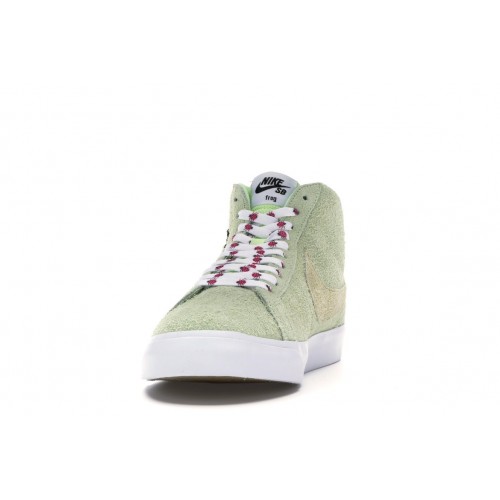 Мужские кроссовки Nike SB Blazer Frog Skateboards