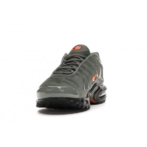 Кроссы Nike Air Max Plus Dark Stucco - мужская сетка размеров