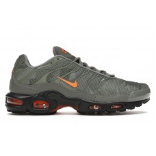 Кроссовки Nike Air Max Plus Dark Stucco