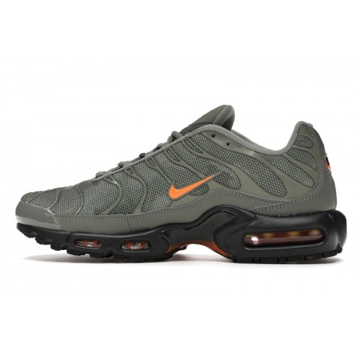 Кроссы Nike Air Max Plus Dark Stucco - мужская сетка размеров