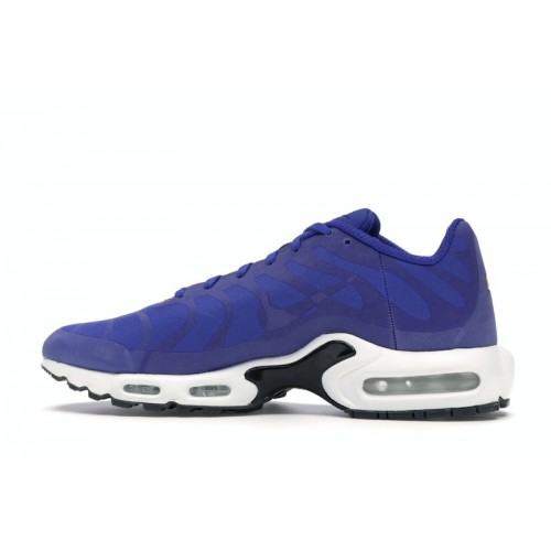 Кроссы Nike Air Max Plus NS GPX Hyper Blue - мужская сетка размеров