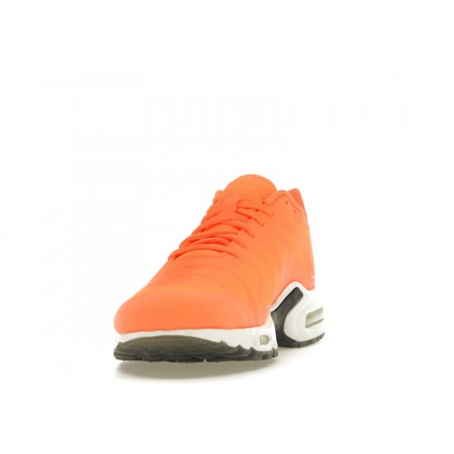 Кроссы Nike Air Max Plus Big Logo Total Orange - мужская сетка размеров