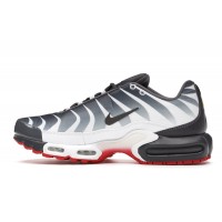 Nike Air Max Plus Before the Bite