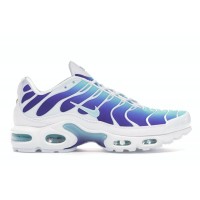 Женские кроссовки Nike Air Max Plus Bleached Aqua Fierce Purple (W)