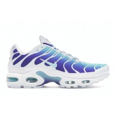 Женские кроссовки Nike Air Max Plus Bleached Aqua Fierce Purple (W)