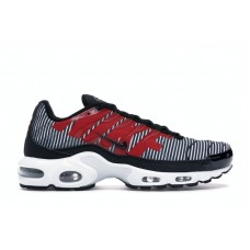 Кроссовки Nike Air Max Plus Striped Black White