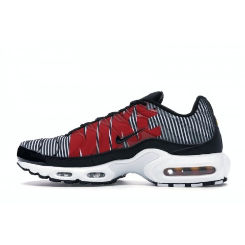 Кроссы Nike Air Max Plus Striped Black White - мужская сетка размеров