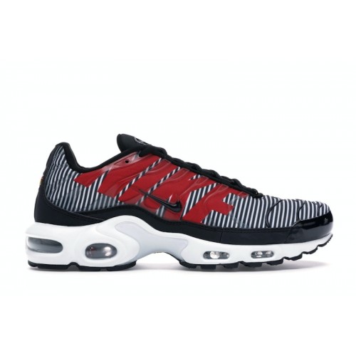 Кроссы Nike Air Max Plus Striped Black White - мужская сетка размеров