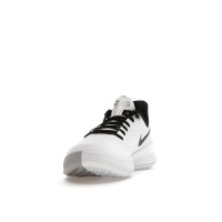 Кроссовки Nike Mamba Focus TB White Wolf Grey Black