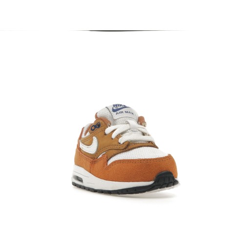 Кроссы Nike Air Max 1 Curry (2018) (TD) - детская сетка размеров