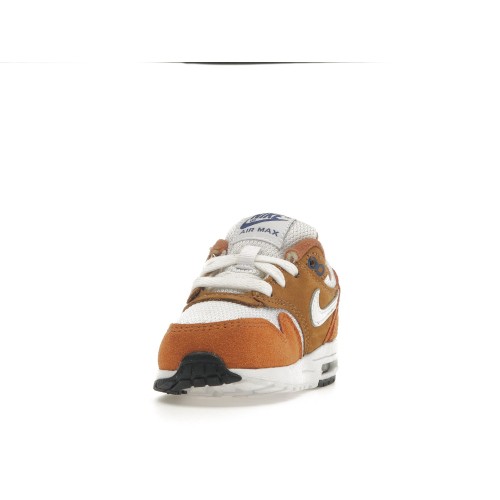 Кроссы Nike Air Max 1 Curry (2018) (TD) - детская сетка размеров