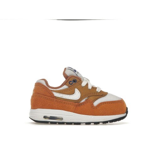 Кроссы Nike Air Max 1 Curry (2018) (TD) - детская сетка размеров