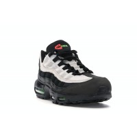 Nike Air Max 95 Antifreeze (2019)