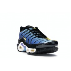 Nike Air Max Plus Greedy