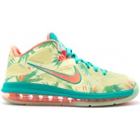 Кроссовки Nike LeBron 9 Low LeBronald Palmer (PE)