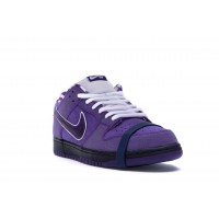 Кроссовки Nike SB Dunk Low Concepts Purple Lobster